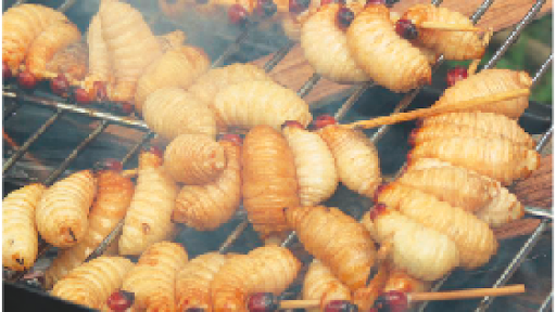 Giải mã giấc mơ thấy dòi