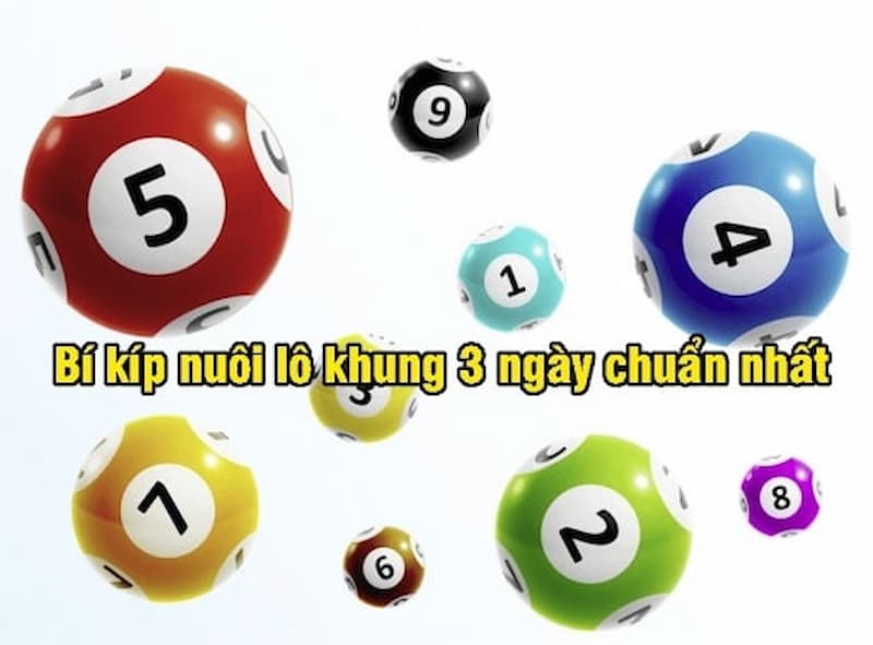 Cách nuôi lô kép khung 3 ngày rồng bạch kim chuẩn xác