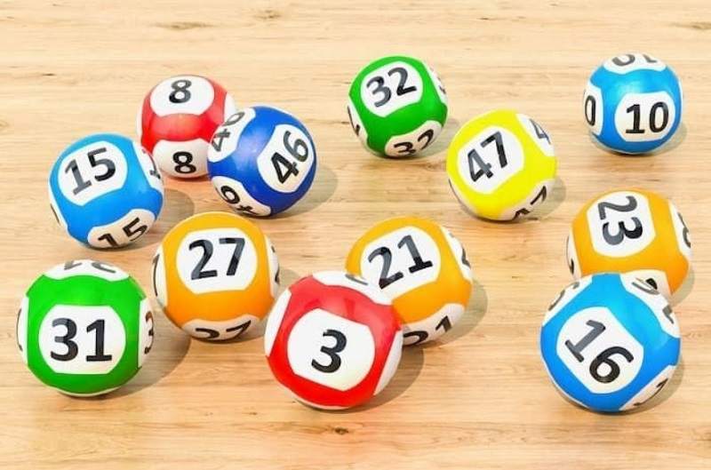 Nuôi lô chuẩn cho người mới