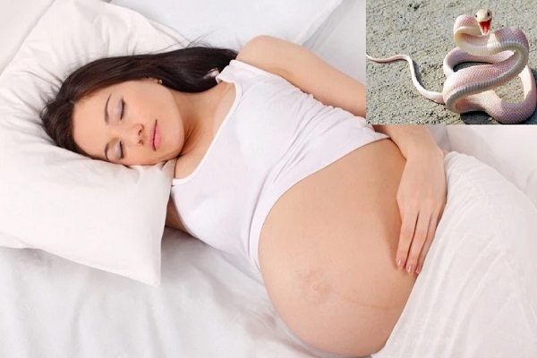 Bà bầu mơ thấy rắn có ý nghĩa gì?
