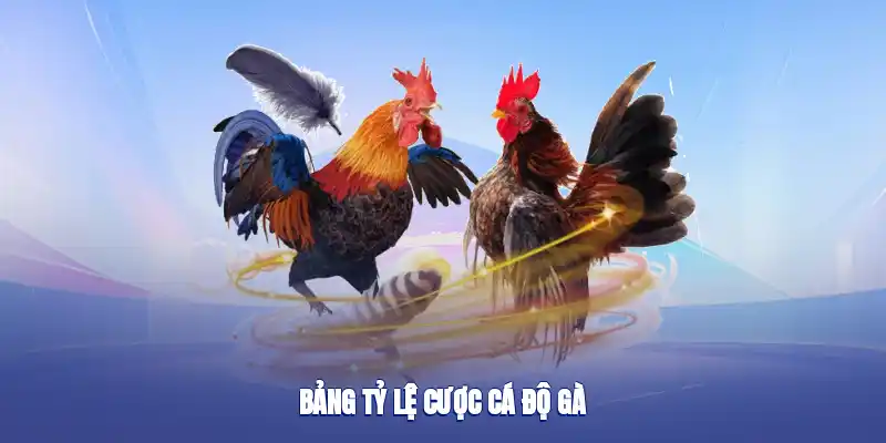 Bảng tỷ lệ cược cá độ gà