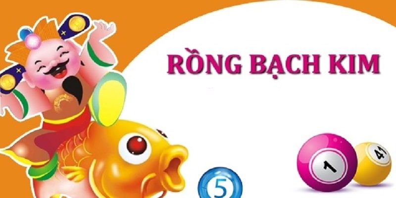 Liệu nên soi cầu lô rồng bạch kim không? 