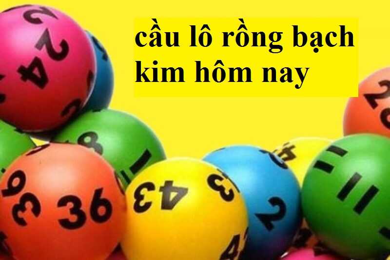 Tìm hiểu số đẹp soi cầu lô theo rồng bạch kim hôm nay