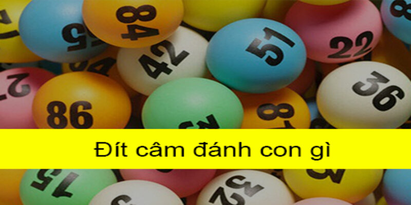 Hướng dẫn cách tính bạc nhớ cho đít câm