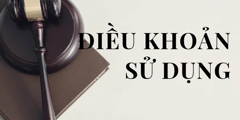 Thông tin chung về điều khoản sử dụng của Rongbachkim.me