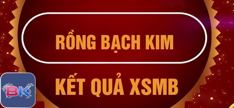 Các bước dự đoán kết quả xổ sổ tại rồng bạch kim