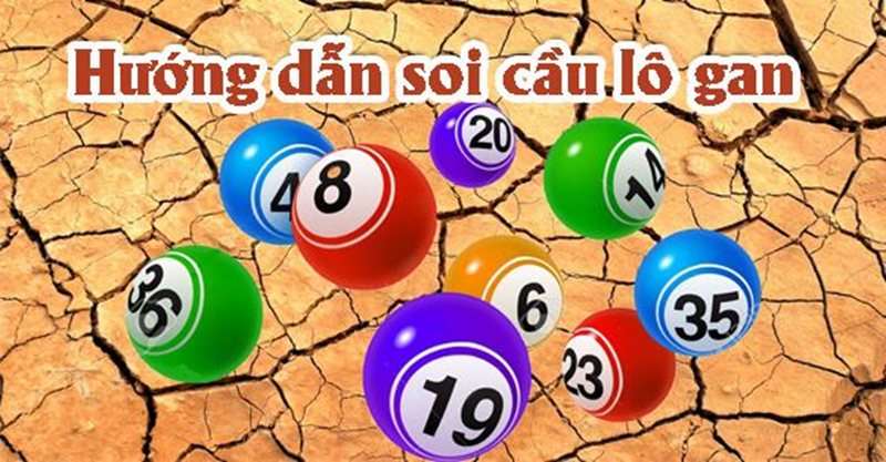 Lô Gan Miền Nam Là Gì: khái niệm & ý nghĩa
