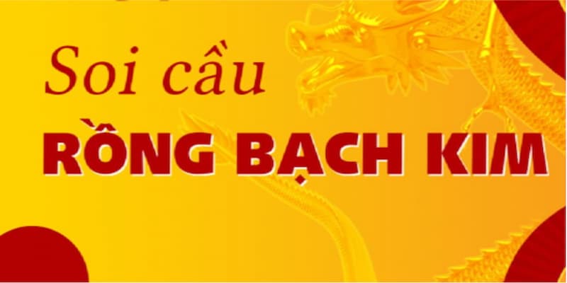 Những điều cần biết khi tìm hiểu lịch sử rồng bạch kim