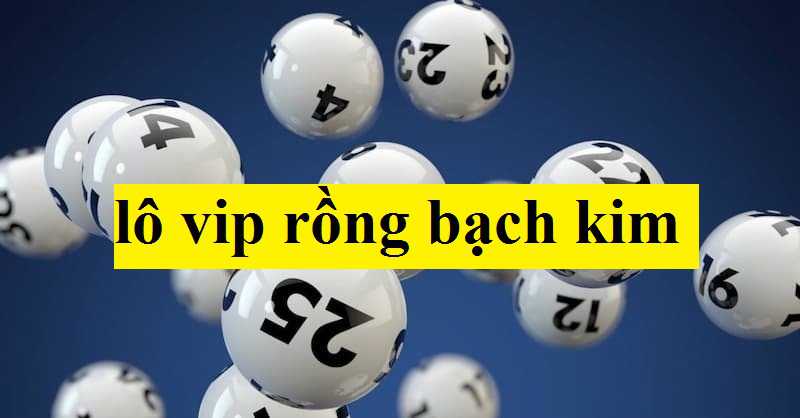 Tìm hiểu chi tiết về lô vip rồng bạch kim 