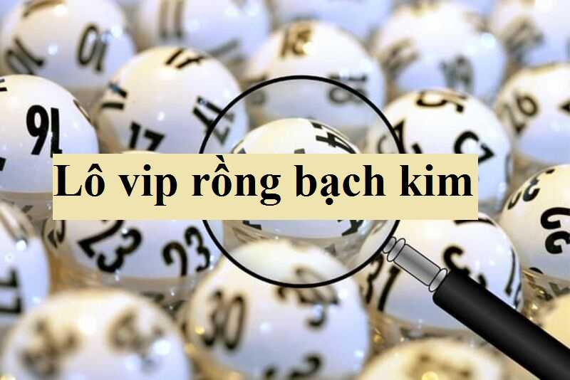 Kinh nghiệm soi cầu đề rồng bạch kim