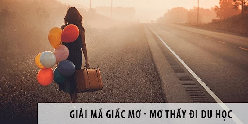Mơ thấy đi du học