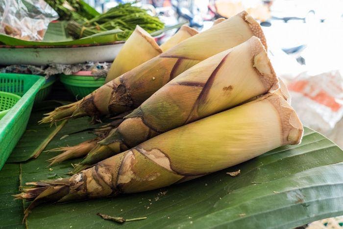 Nằm mơ thấy đi hái măng đánh đề con gì?