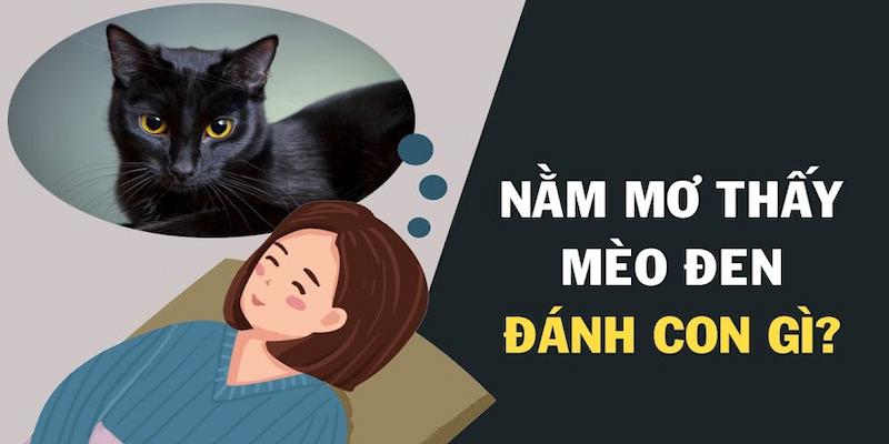 Mơ thấy con mèo đen đi theo đàn điềm lành hay dữ?