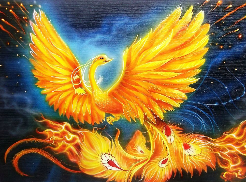 Giải mã giấc mơ thấy phượng hoàng