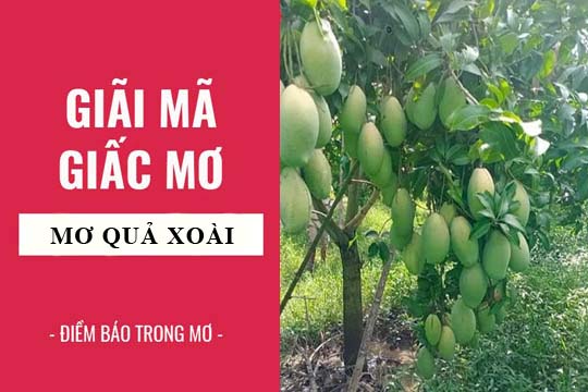 Giải mã giấc mơ thấy quả xoài
