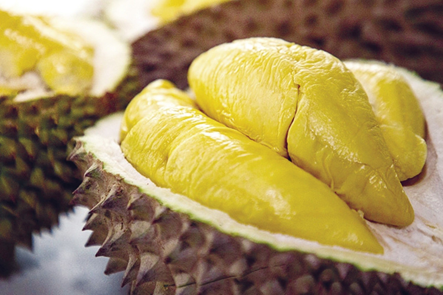 Nằm mơ thấy sầu riêng đánh đề con gì?