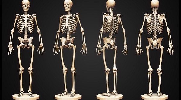 Giải mã giấc mơ thấy xương người