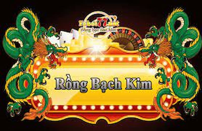 Hướng dẫn cách xem rồng bạch kim thống kê xổ số miền bắc