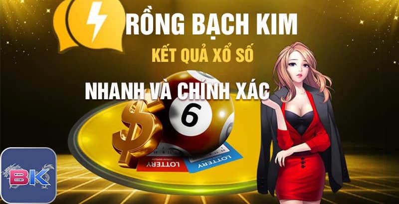 Giới thiệu tổng quan rồng bạch kim cao cấp miễn phí