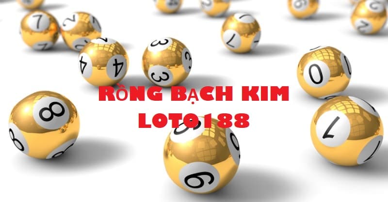 Đôi nét về rồng bạch kim loto 188