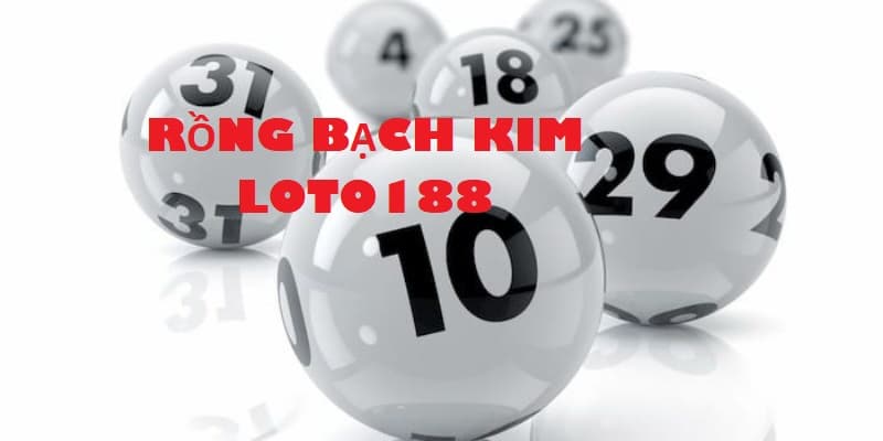 Kinh nghiệm soi cầu rồng bạch kim loto 188 hiệu quả nhất