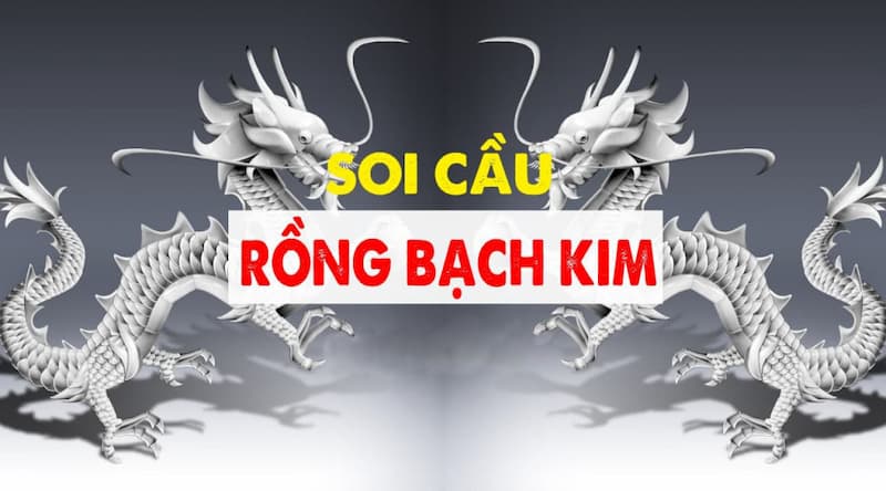 Rồng bạch kim lừa đảo không đúng sự thật