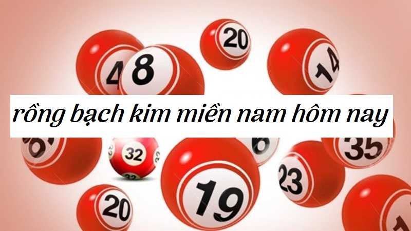 Dự đoán kết quả soi cầu rồng bạch kim chính xác