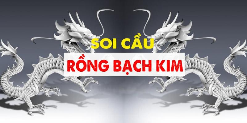 Khi nào anh em nên và không nên nuôi lô Rồng Bạch Kim?