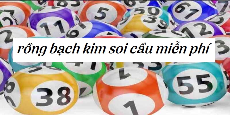 Hướng dẫn soi cầu rồng bạch kim đơn giản nhất