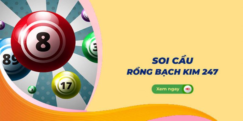 Khái quát về soi cầu 247 rồng bạch kim