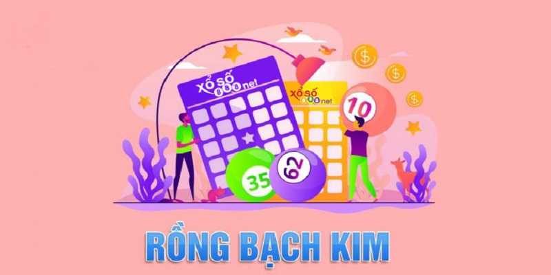 Bật mí về soi cầu 888 rồng bạch kim hoàn toàn miễn phí 