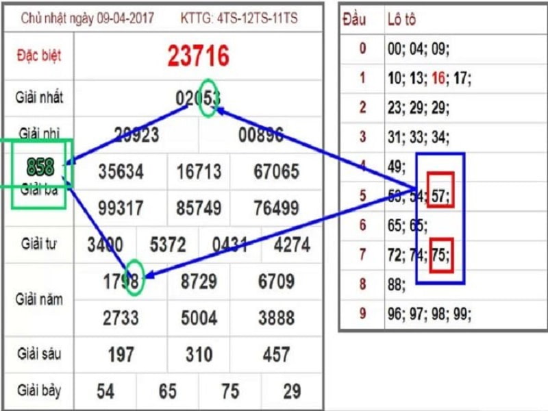 Bắt nháy Rồng bạch kim theo dấu hiệu