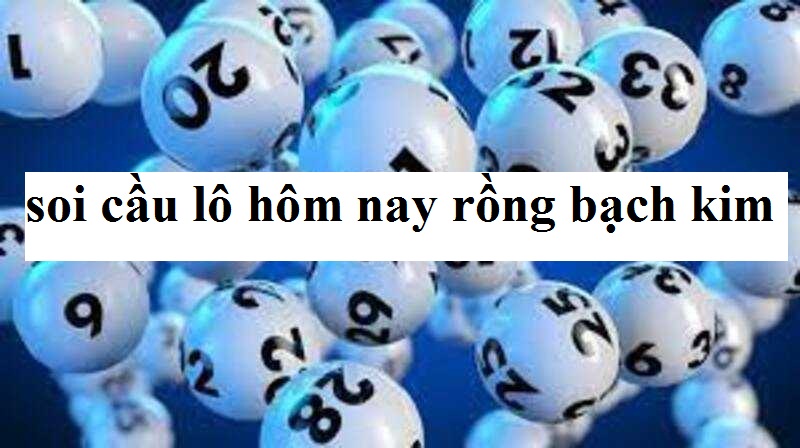 Tìm hiểu về hình thức soi cầu lô rồng bạch kim