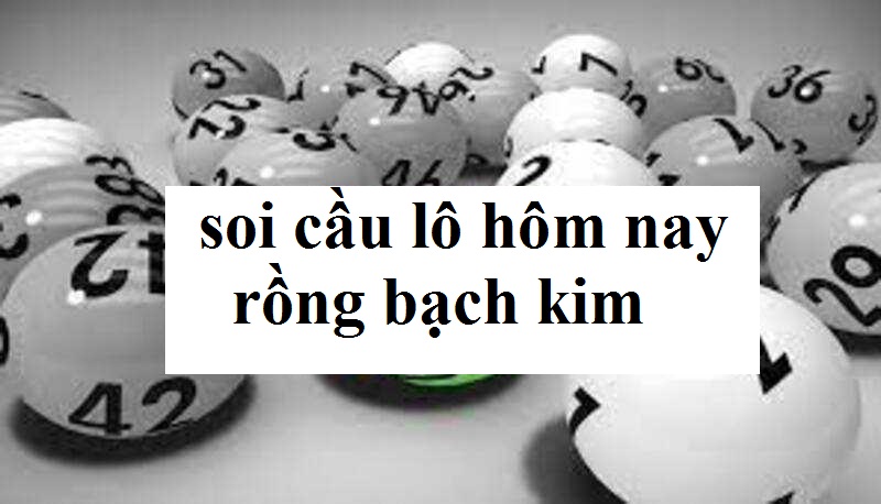 Kinh nghiệm soi cầu lô rồng bạch kim chi tiết