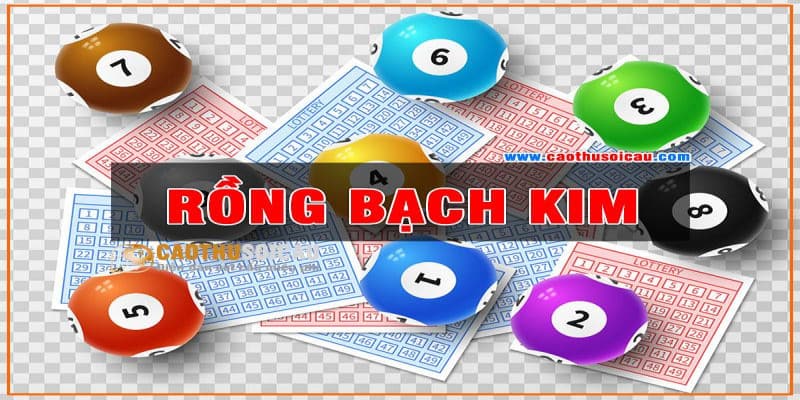 Bí quyết soi cầu lô rồng bạch kim là gì? 