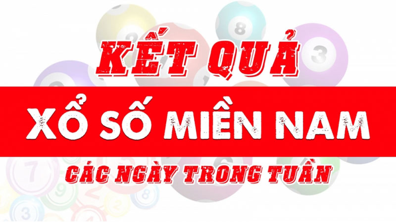 Các thống kê cập nhật dễ dàng nhanh chóng