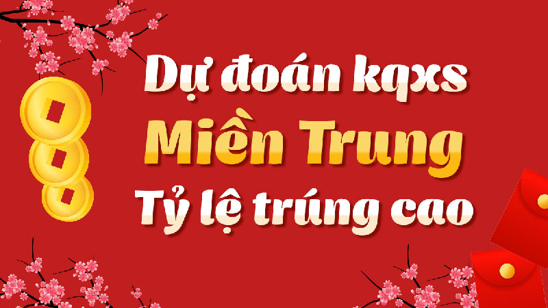 Nhận định số nhanh và siêu chính xác