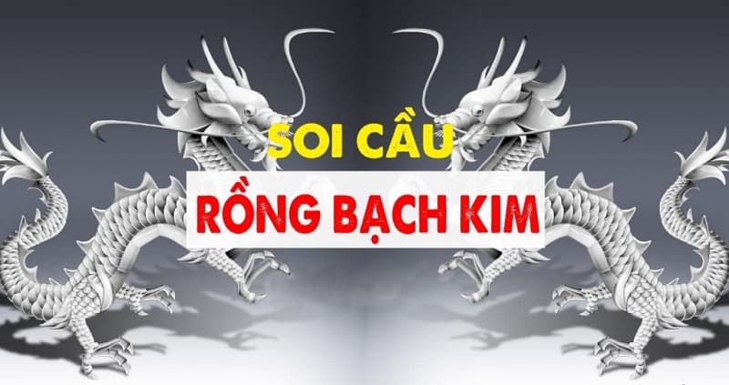 Rồng bạch kim là gì?