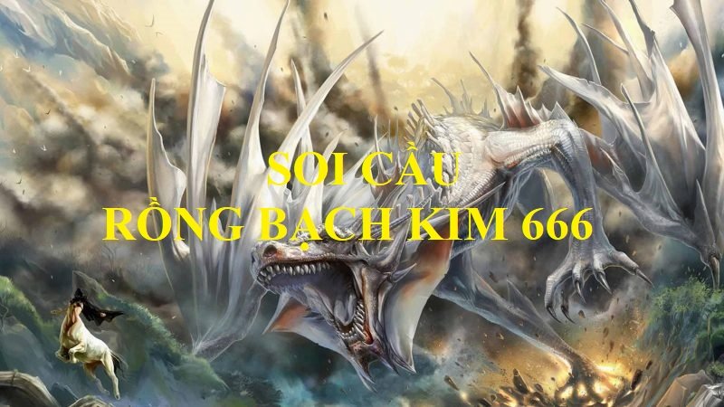 Khái quát về soi cầu rồng bạch kim