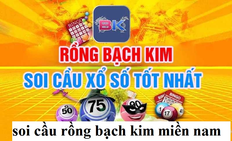 Cách soi cầu rồng bạch kim hay nhất
