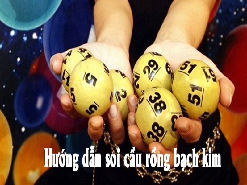 Bí quyết soi cầu rồng bạch kim miễn phí là gì? 