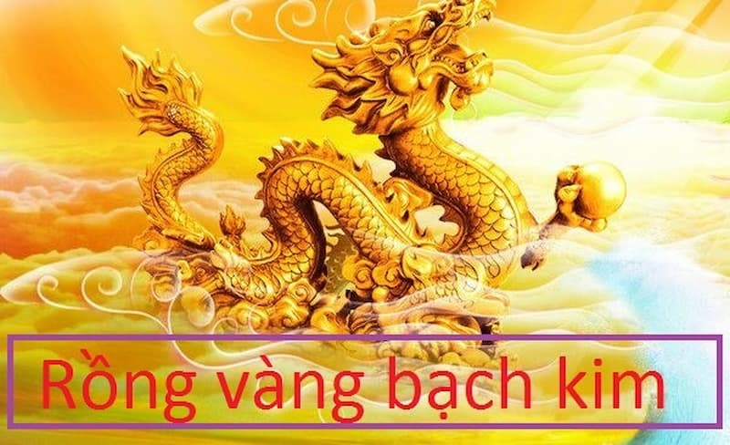 Kinh nghiệm soi rồng bạch kim ngày hôm nay cực hiệu quả