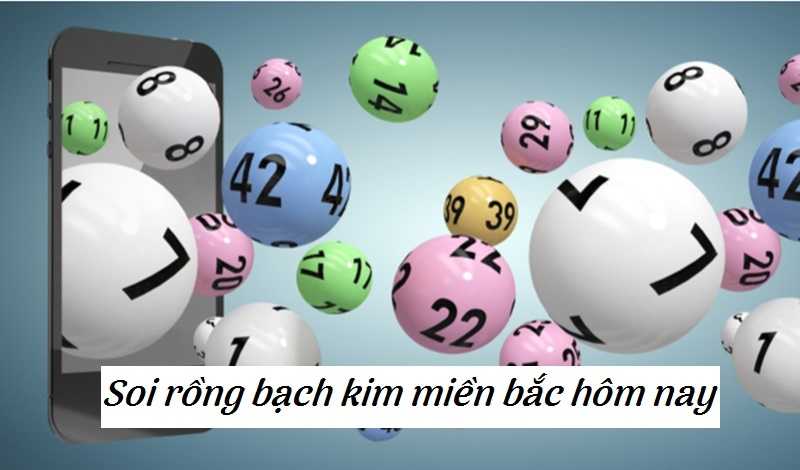 Khám phá các cách soi rồng bạch kim tìm ra số đẹp chính xác nhất