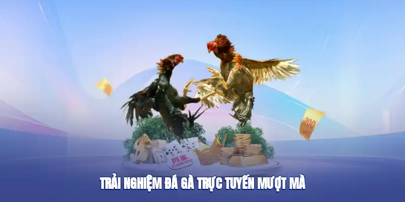 Trải nghiệm đá gà trực tuyến mượt mà